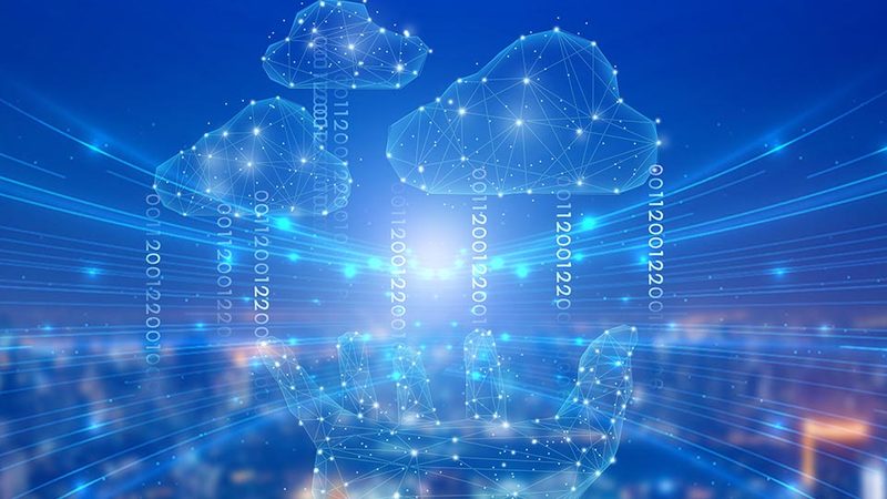 网络维护：企业IT安全的守护者
