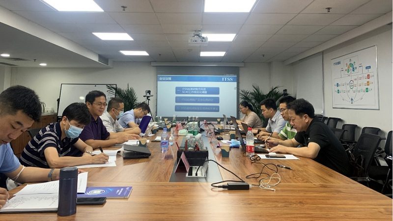 定制化企业IT外包服务：打造企业数字化转型的坚实基石**